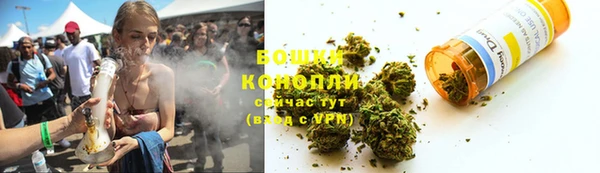 гидропоника Белокуриха