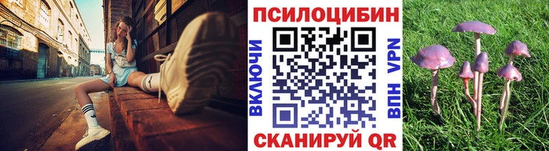 Псилоцибиновые грибы Psilocybine cubensis  Облучье 